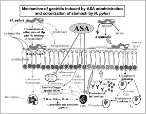 biotech business development